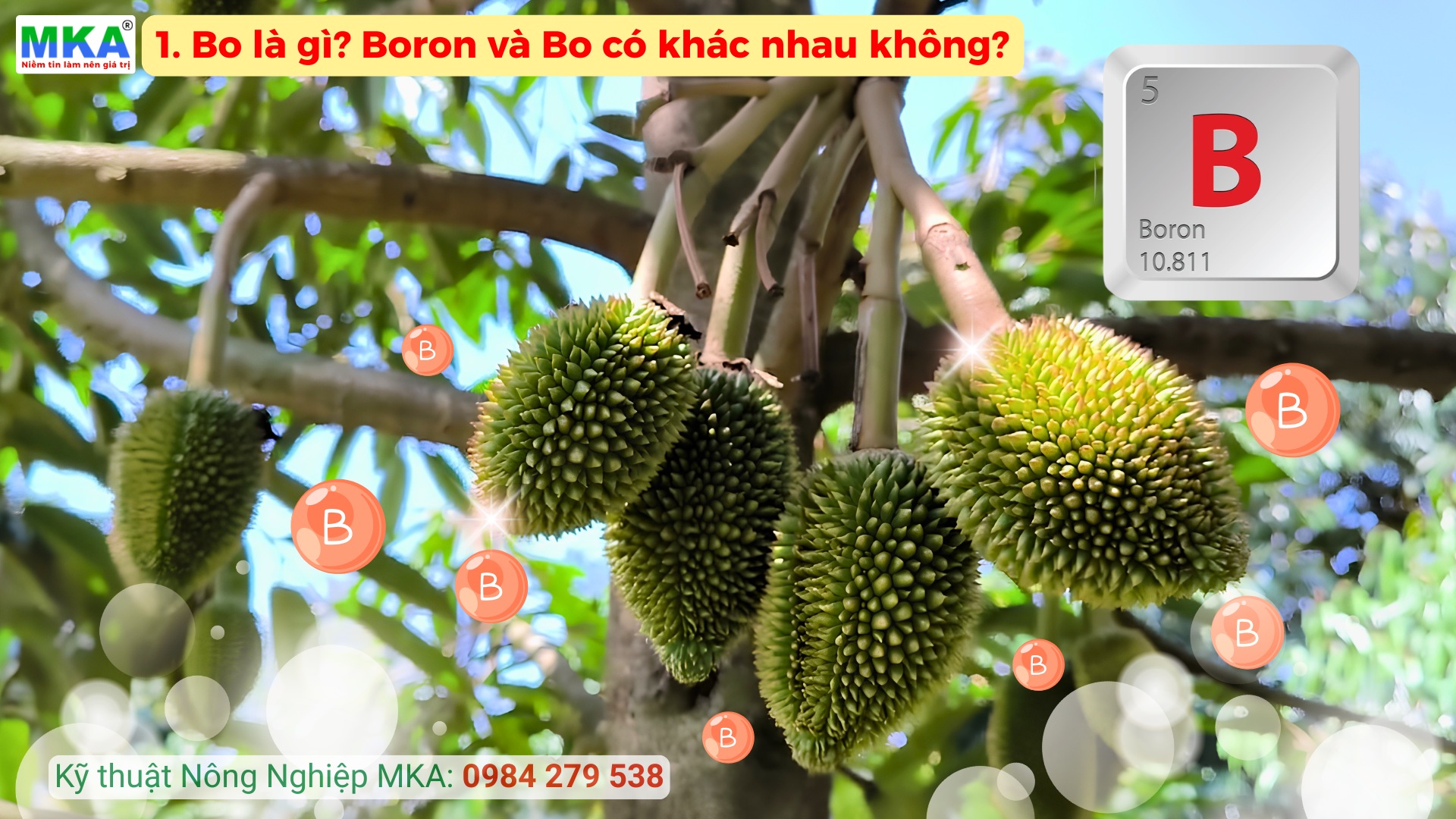 Boron và Bo có khác nhau không?